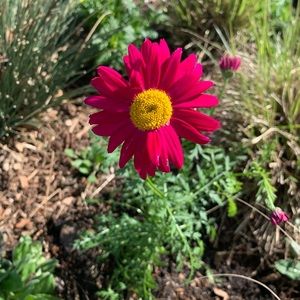 Meet your Posher, Cameron